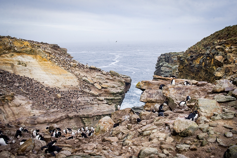 028_Best_of_Antarctica_Ponant.jpg