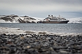 240_Best_of_Antarctica_Ponant