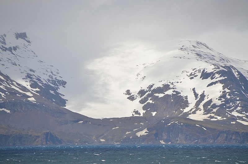 009_Antarctica_South_Georgia.JPG