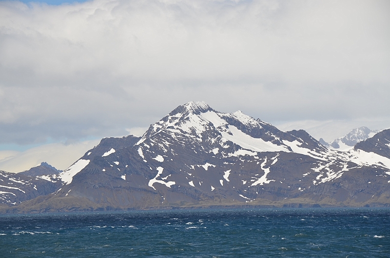 011_Antarctica_South_Georgia.JPG