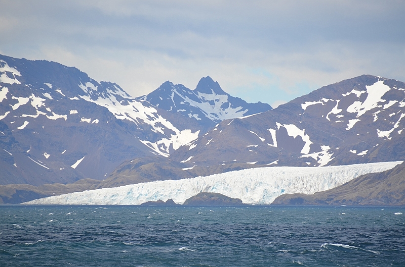 013_Antarctica_South_Georgia.JPG