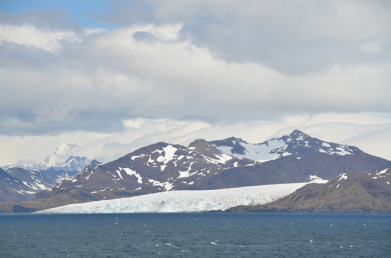 016_Antarctica_South_Georgia.JPG