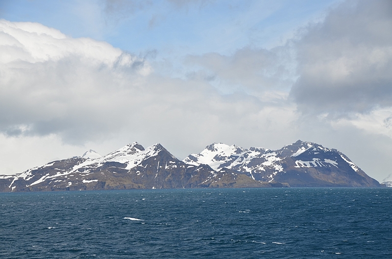 017_Antarctica_South_Georgia.JPG