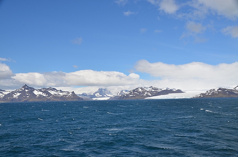 020_Antarctica_South_Georgia.JPG