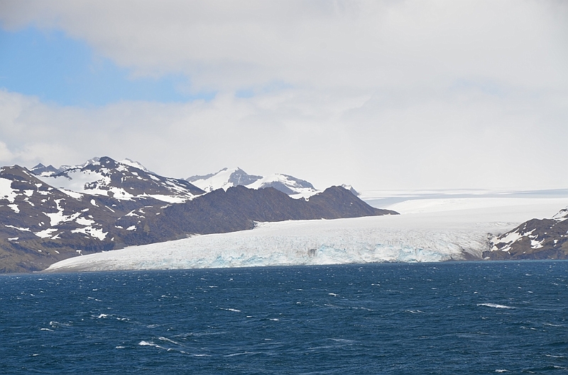 021_Antarctica_South_Georgia.JPG