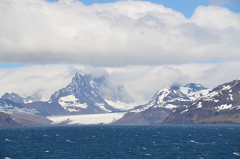 022_Antarctica_South_Georgia.JPG