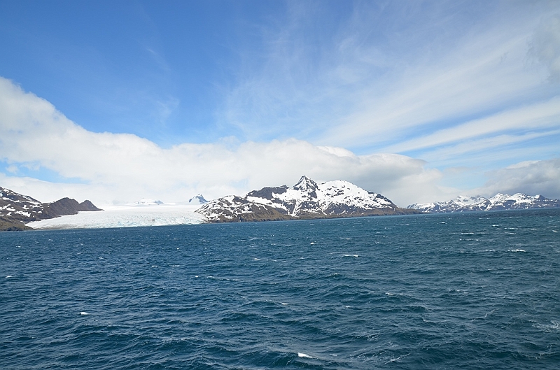 030_Antarctica_South_Georgia.JPG