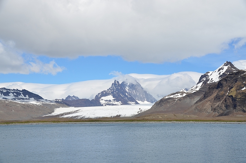 034_Antarctica_South_Georgia.JPG