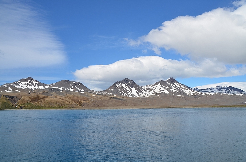 035_Antarctica_South_Georgia.JPG