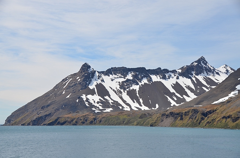 040_Antarctica_South_Georgia_Fortuna_Bay.JPG