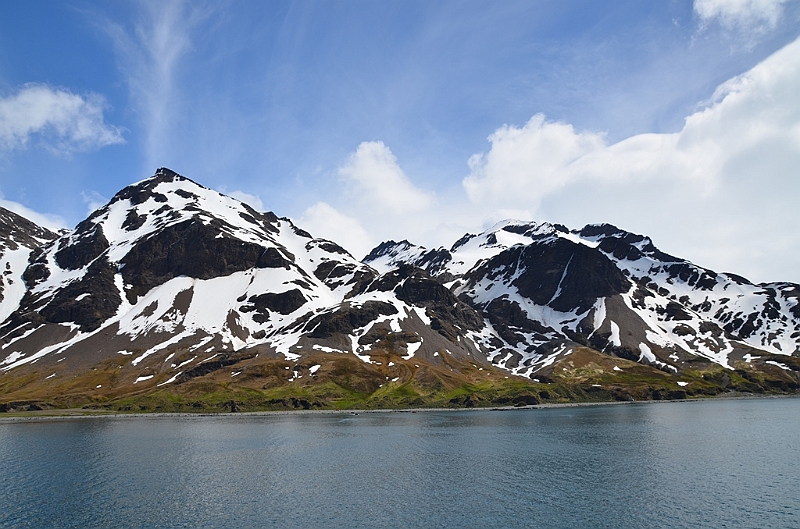 046_Antarctica_South_Georgia_Fortuna_Bay.JPG