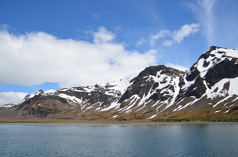 047_Antarctica_South_Georgia_Fortuna_Bay.JPG