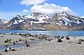 074_Antarctica_South_Georgia_Fortuna_Bay