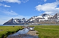 083_Antarctica_South_Georgia_Fortuna_Bay