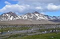 090_Antarctica_South_Georgia_Fortuna_Bay