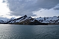 120_Antarctica_South_Georgia