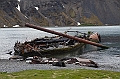 130_Antarctica_South_Georgia_Grytviken