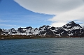 165_Antarctica_South_Georgia