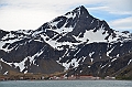 166_Antarctica_South_Georgia