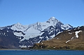 169_Antarctica_South_Georgia