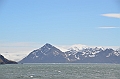 180_Antarctica_South_Georgia