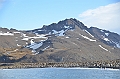 266_Antarctica_South_Georgia_Saint_Andrews_Bay_King_Penguin_Rookery