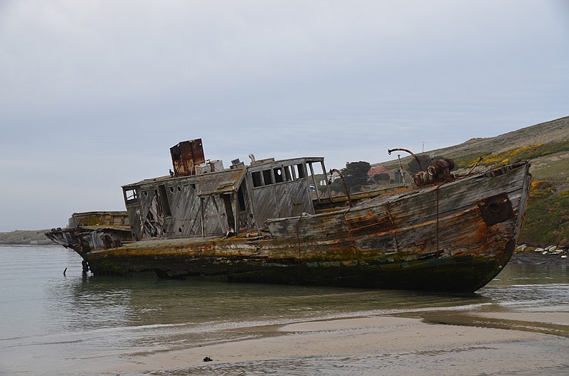 048_Falkland_Islands_New_Island.JPG