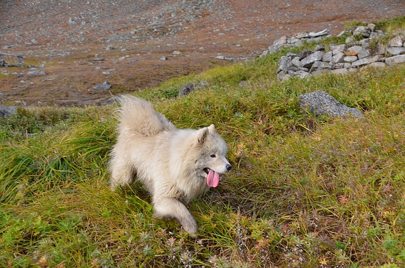 083_Arctic_Russia_Cape_Dezhnev.JPG