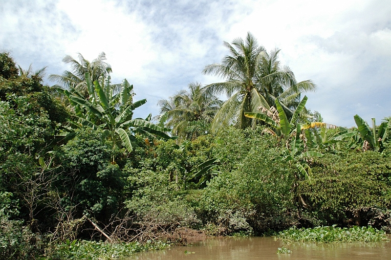 060_Vietnam_Mekong_River_Tour.JPG