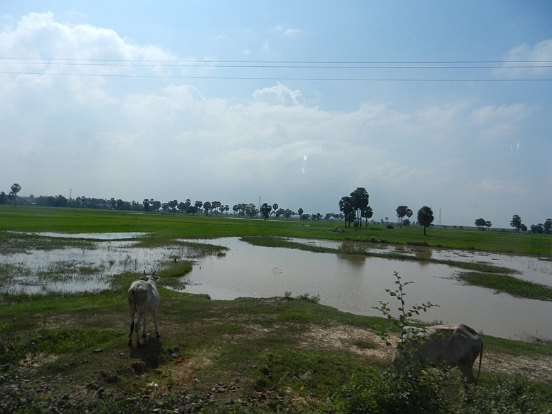 169_Cambodia_Landscape.JPG - 