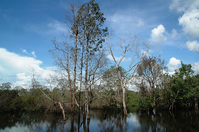 349_Cambodia_Angkor_Neak_Pean.JPG