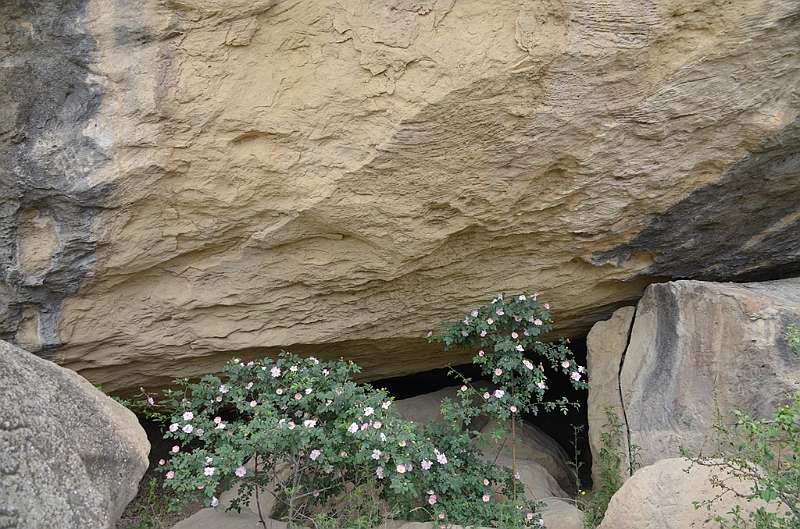 249_Azerbaijan_Qobustan_Petroglyph_Reserve.JPG