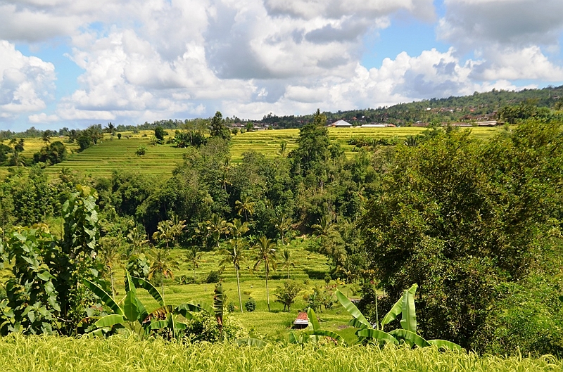 099_Bali_Jatiluwih_Ricefields.JPG