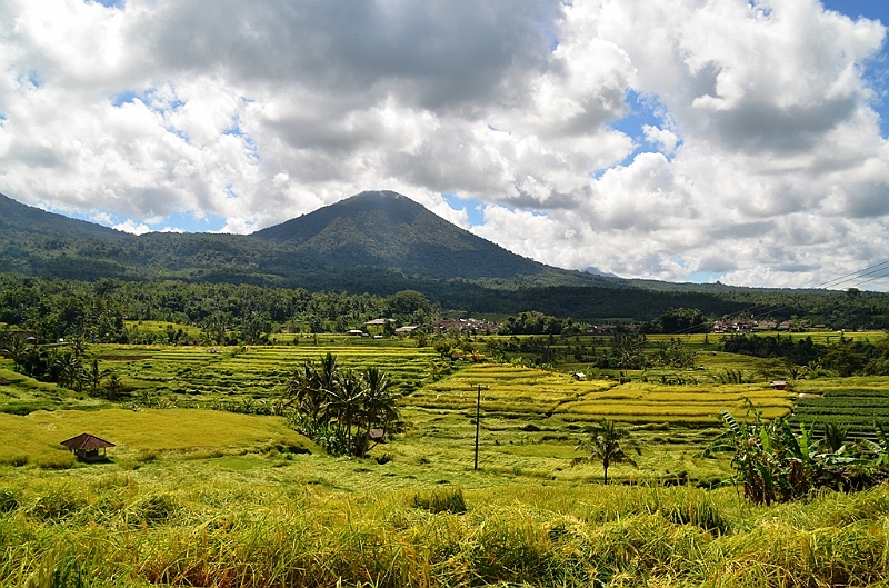 106_Bali_Jatiluwih_Ricefields.JPG