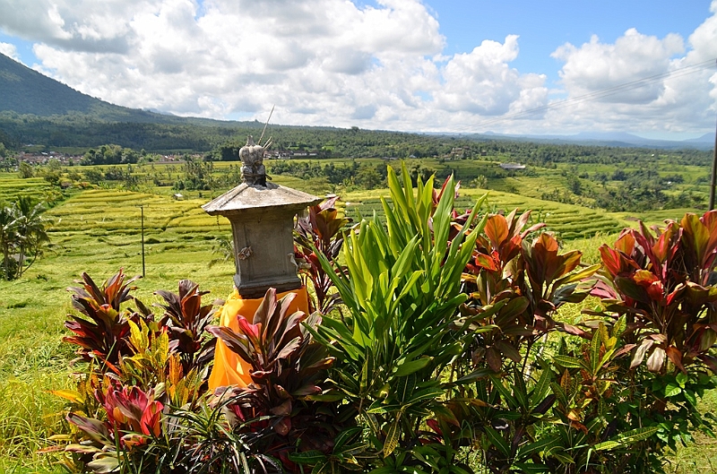 107_Bali_Jatiluwih_Ricefields.JPG