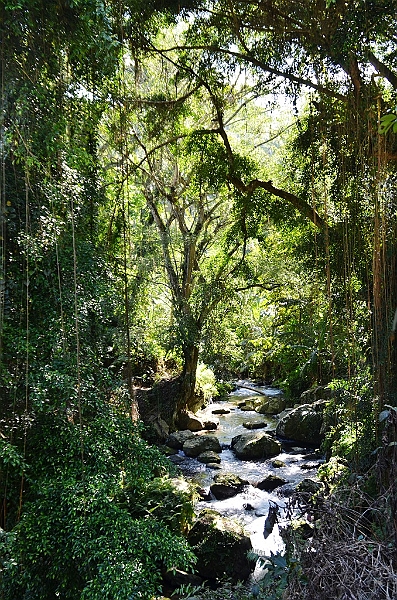 343_Bali_Pura_Gunung_Kawi.JPG