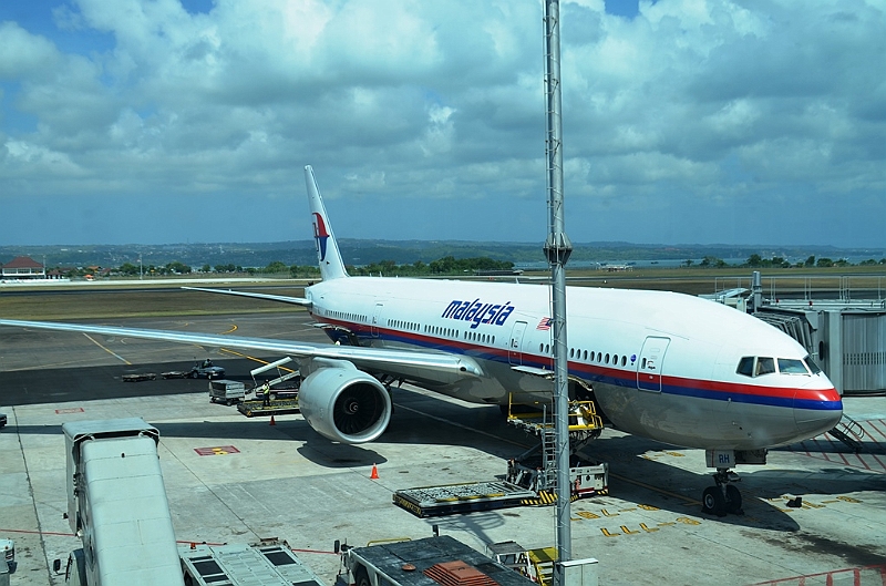 354_Malaysia_Airlines_Flight.JPG