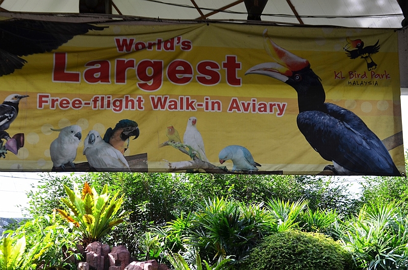 448­_Kuala_Lumpur_Bird_Park.JPG