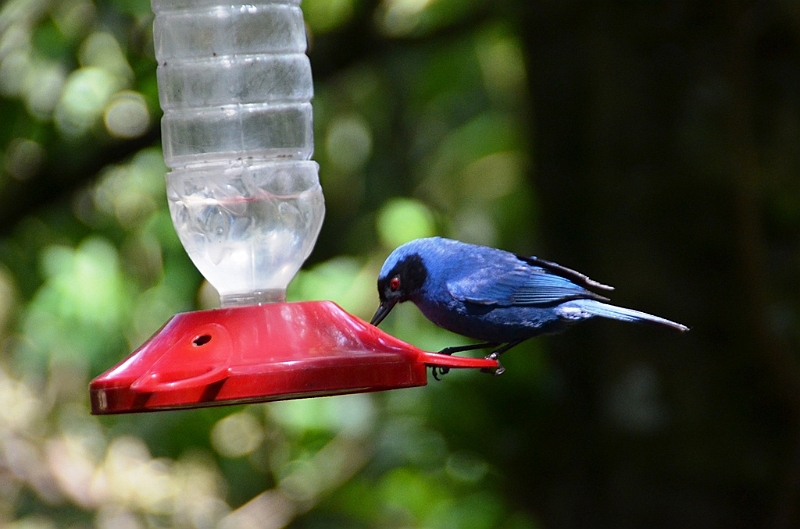 199_Ecuador_Guango_Lodge.JPG