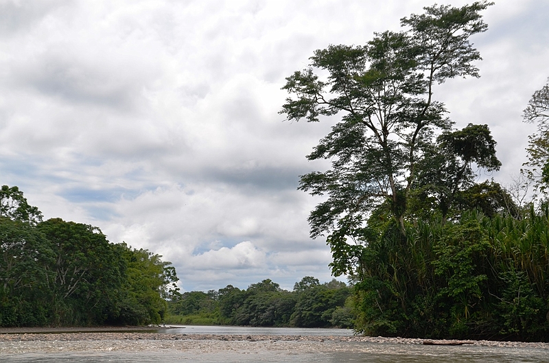 299_Ecuador_Amazonas_Aera_Napo_River_Tour.JPG