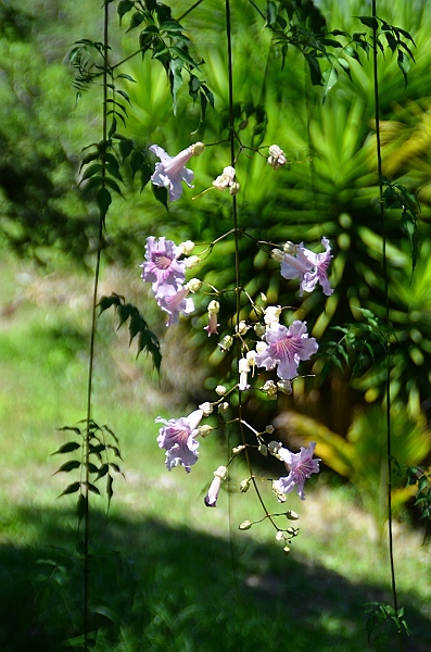 614_Ecuador_Vilcabamba.JPG