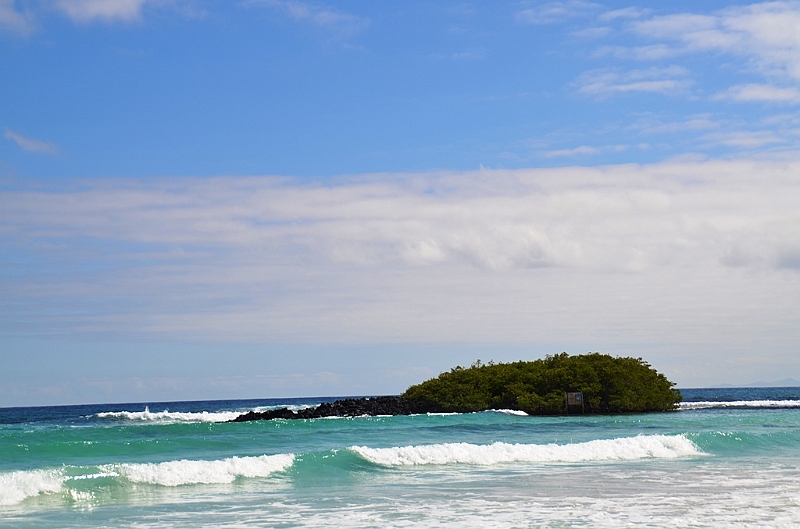 853_Ecuador_Galapagos_Santa_Cruz_Tortuga_Bay.JPG