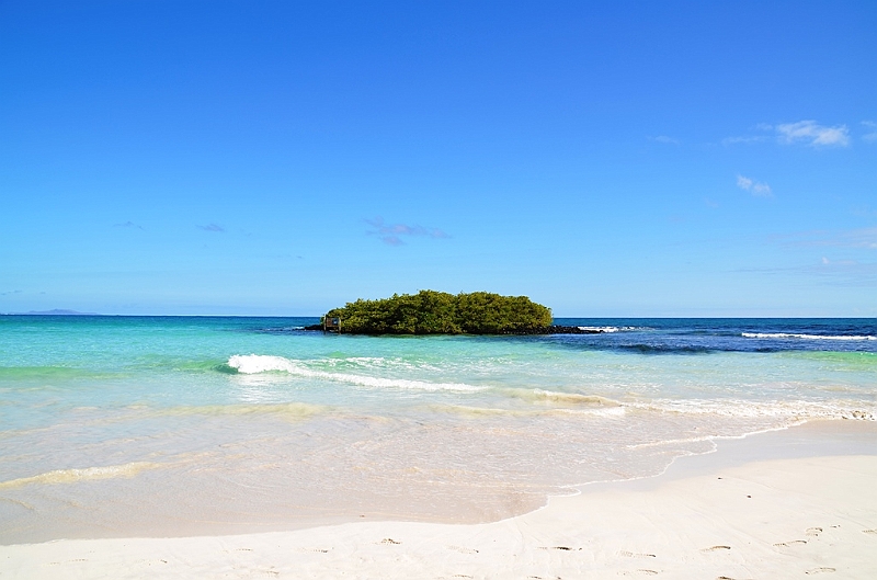 855_Ecuador_Galapagos_Santa_Cruz_Tortuga_Bay.JPG