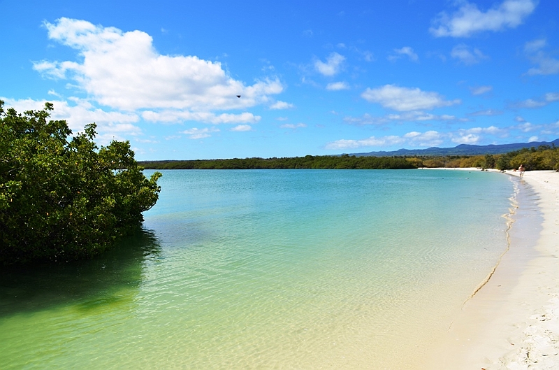 860_Ecuador_Galapagos_Santa_Cruz_Tortuga_Bay.JPG