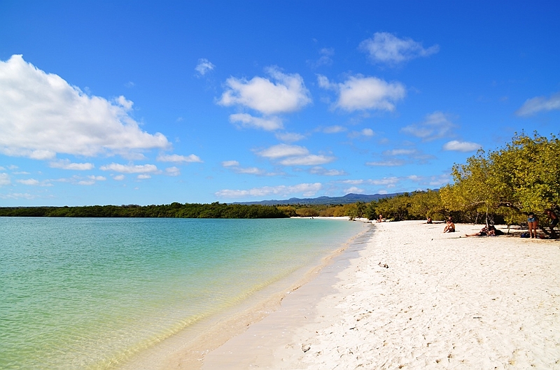 862_Ecuador_Galapagos_Santa_Cruz_Tortuga_Bay.JPG