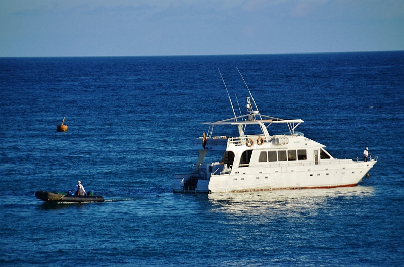 875_Ecuador_Galapagos_Santa_Cruz_Puerto_Ayora.JPG