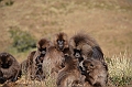 195_Ethiopia_North_Semien_NP
