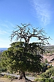 504_Ethiopia_North_Lalibela