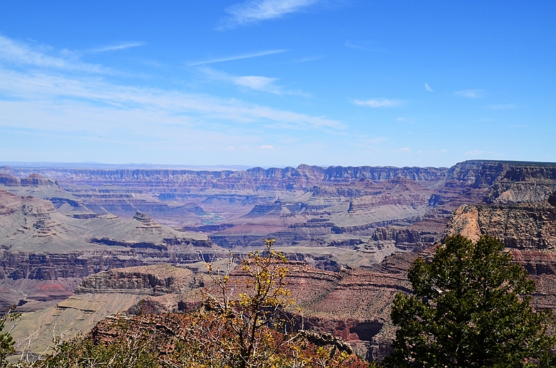 50_Grand_Canyon.JPG