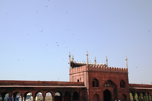 011_India_New_Delhi_Jama_Masjid.JPG